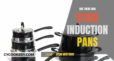 Induction Cooking: Non-Stick Pans for Your Kitchen