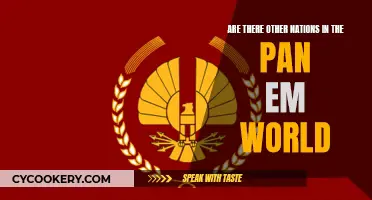 Exploring the Panem World: Are There Other Nations?