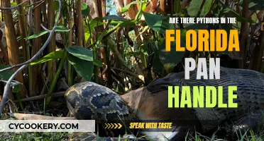 Python Presence in Florida: Panhandle Python Problems?