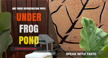 Refrigeration Pipes Under Frog Pond: Fact or Fiction?