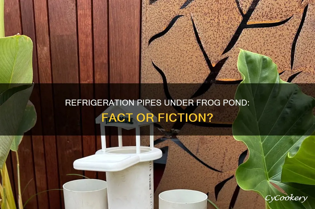 are there refrigeration pipes under frog pond
