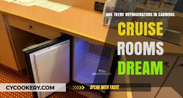 Do Carnival Dream Cruise Rooms Include Refrigerators? Find Out Here