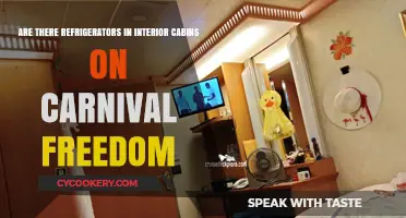 Carnival Freedom Interior Cabins: Do They Include Refrigerators?