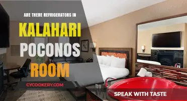 Kalahari Poconos Room Amenities: Do They Include Refrigerators?