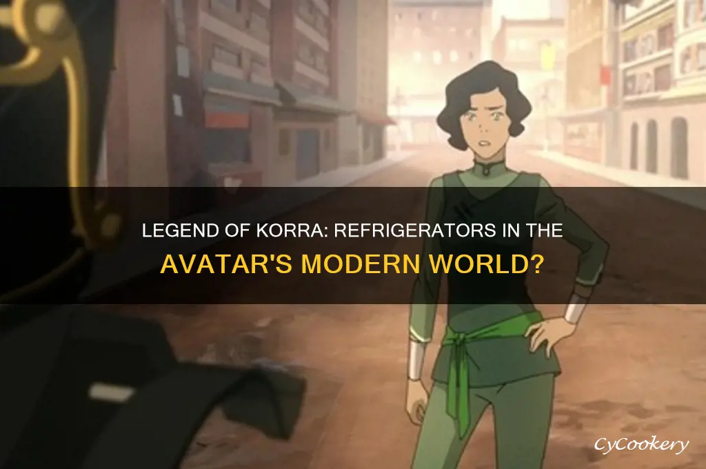 are there refrigerators in legend of korra