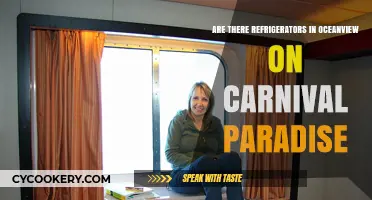 Carnival Paradise Oceanview Staterooms: Do They Include Refrigerators?