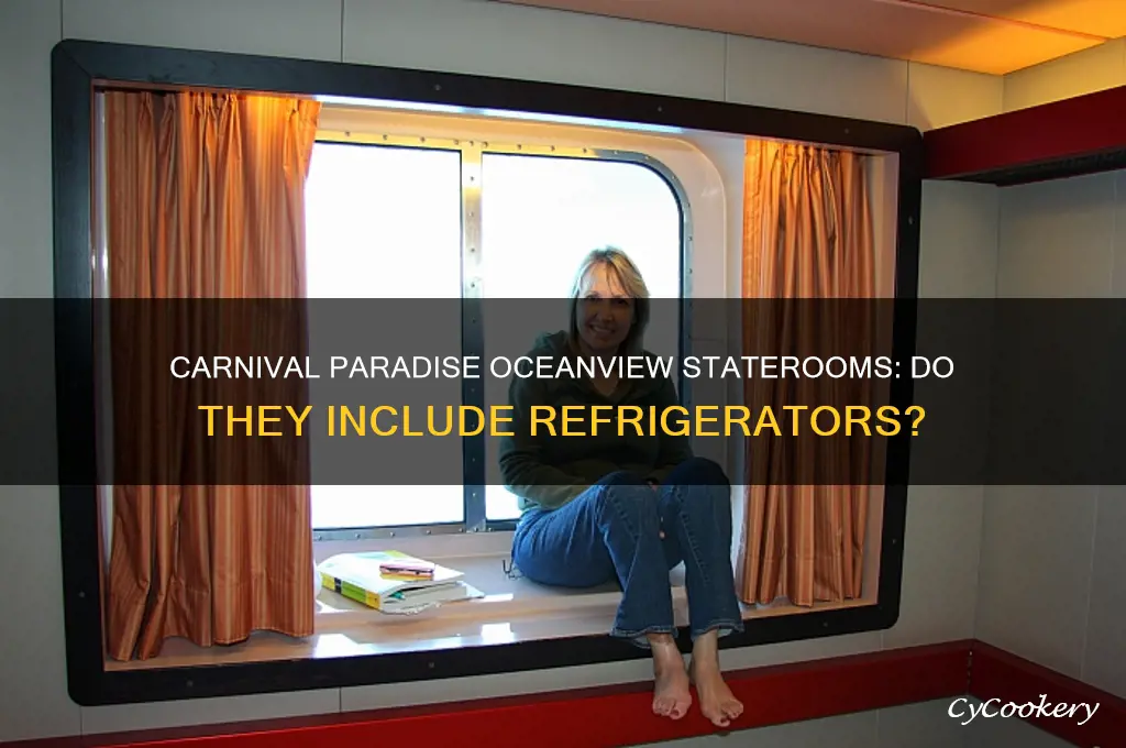 are there refrigerators in oceanview on carnival paradise