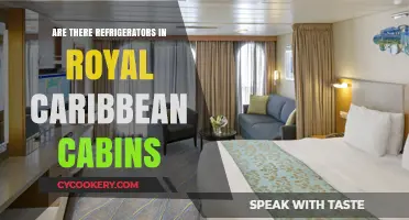 Royal Caribbean Cabins: Do They Include Refrigerators for Guests?