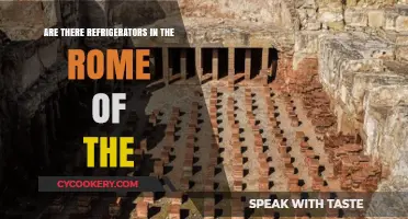 Exploring Ancient Rome: Did They Have Refrigerators in the Eternal City?