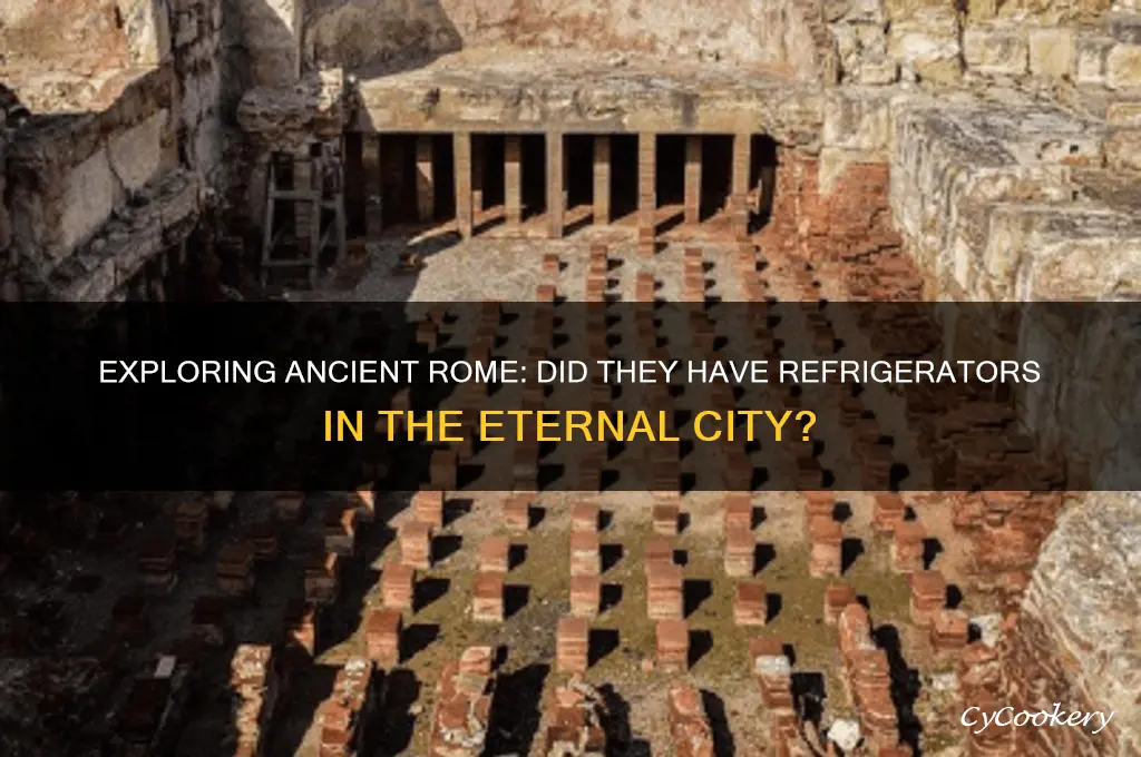 are there refrigerators in the rome of the