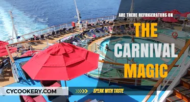 Carnival Magic Amenities: Exploring Refrigerator Availability on Board