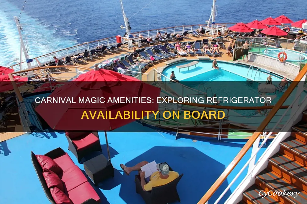 are there refrigerators on the carnival magic