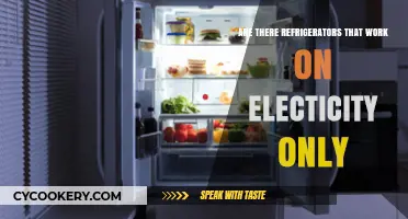 Electricity-Only Refrigerators: Do They Exist and How Do They Work?