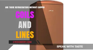 Exploring Copper-Free Refrigerators: Are There Alternatives to Traditional Coils?