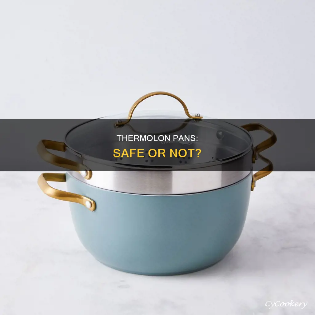 are thermolon pans safe