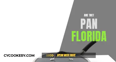 Thet Pan: Florida's Unique Natural Wonder