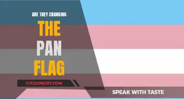New Proposal for the Pan Flag: A Ten-Color Design