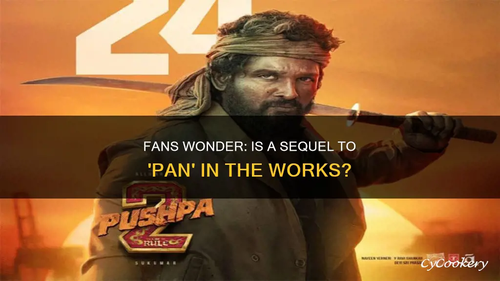 are they making a pan 2