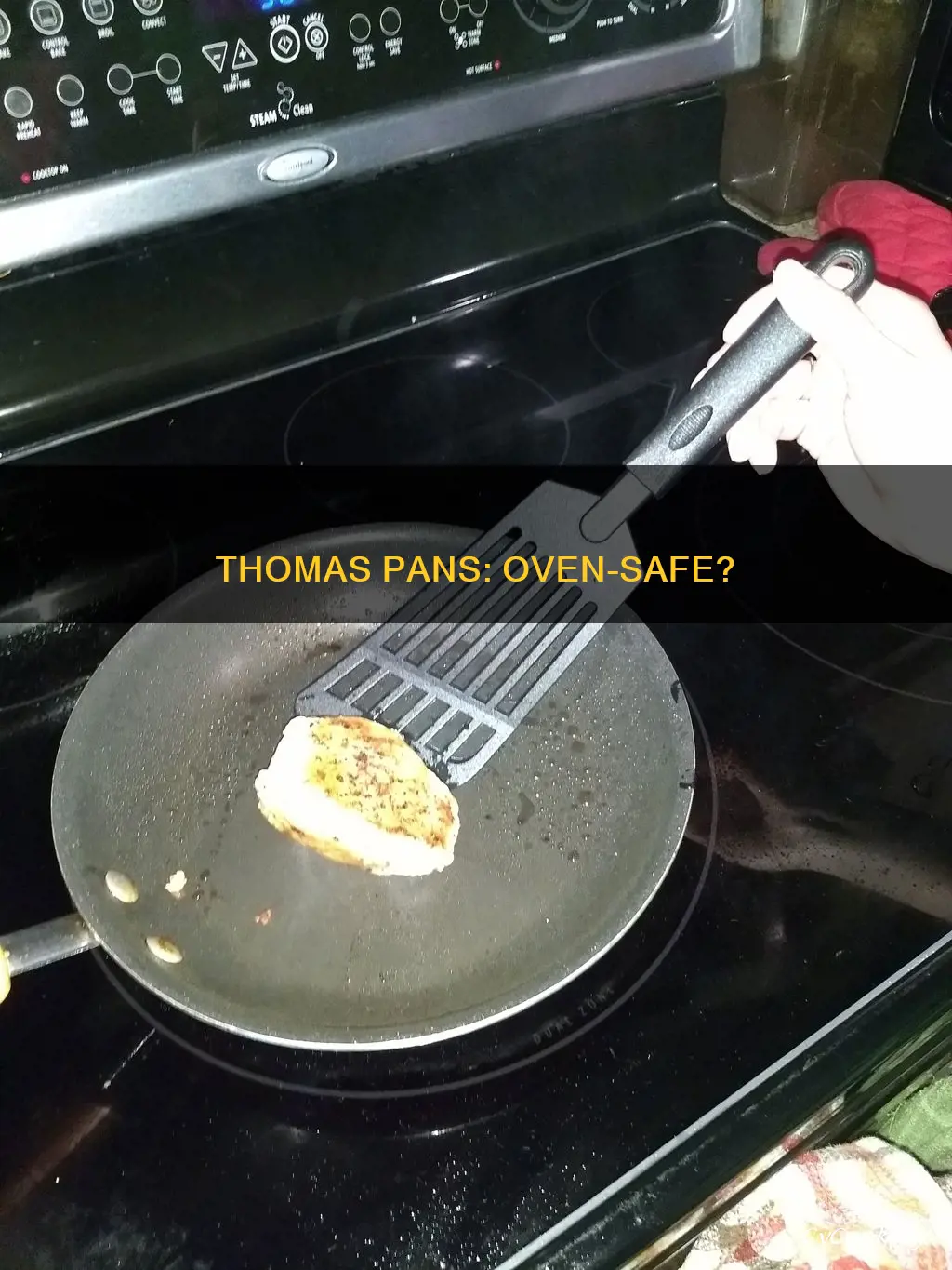 are thomas pans oven safe