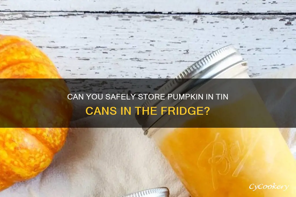 are tin cans safe to put in the refrigerator pumpkin