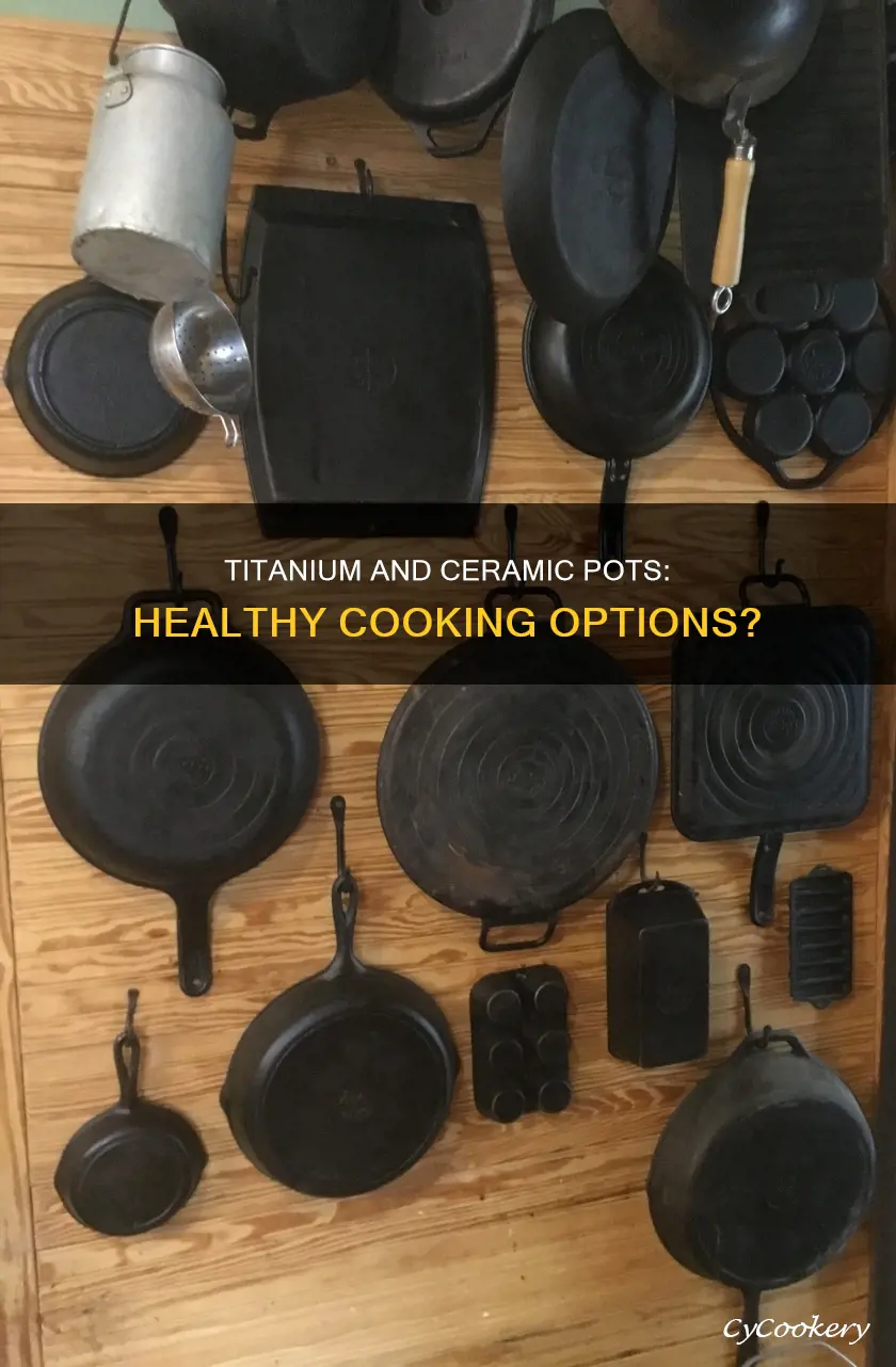 are titanium and cermic pots healthy to cook in