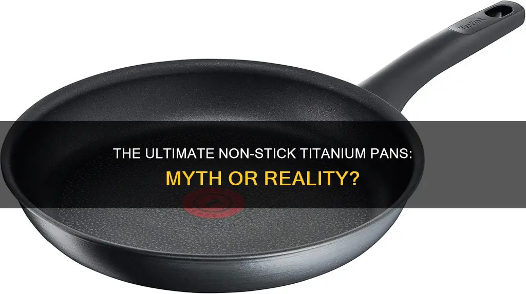 are titanium pans non stick