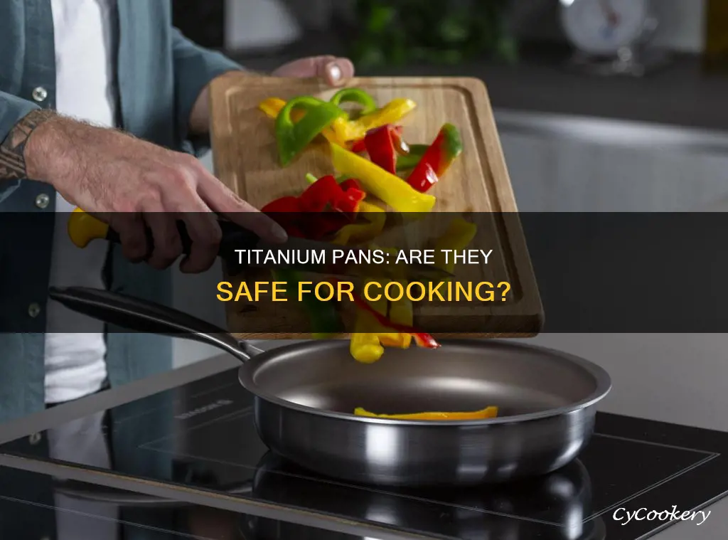 are titanium pans toxic