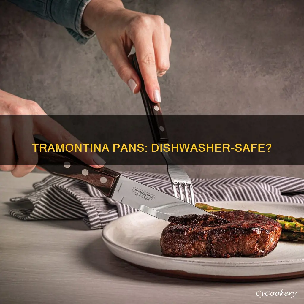 are tramontina pans dishwasher safe