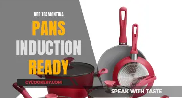 Tramontina Pans: Are They Induction Ready?