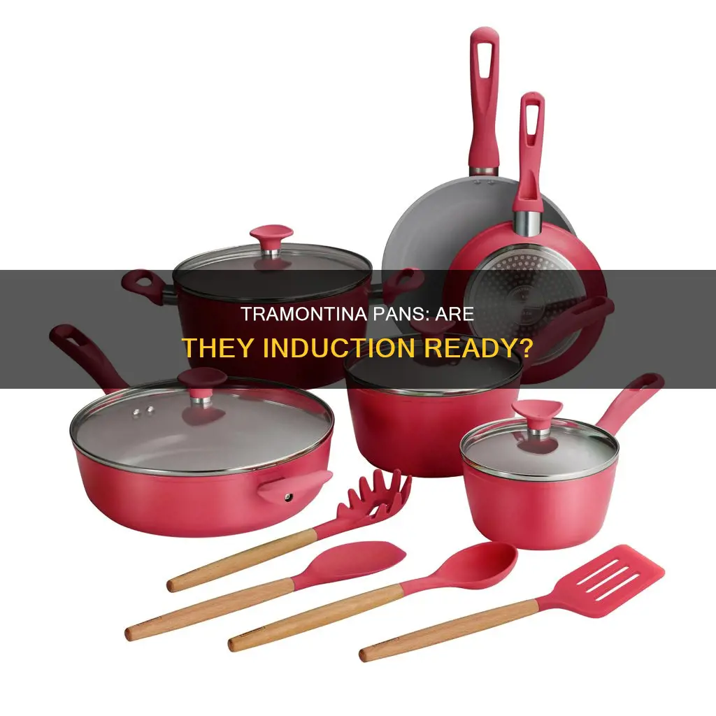 are tramontina pans induction ready