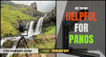 Tripods: A Must-Have Tool for Perfect Panoramas