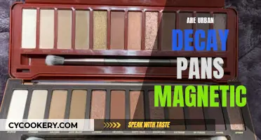 Urban Decay's Magnetic Pans: A Convenient Feature?