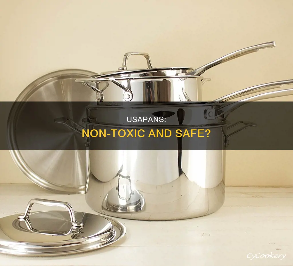 are usa pans non toxic