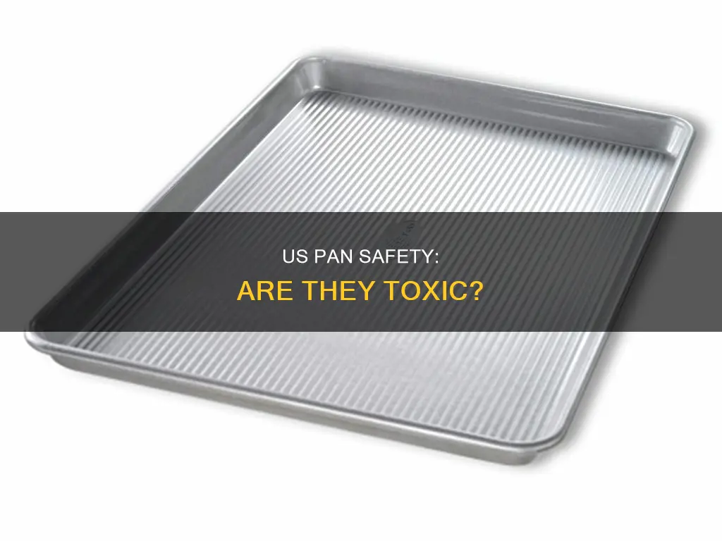 are usa pans toxic