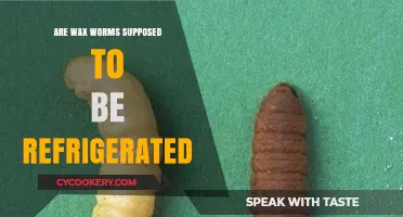 Should Wax Worms Be Refrigerated? Essential Care Tips for Keepers