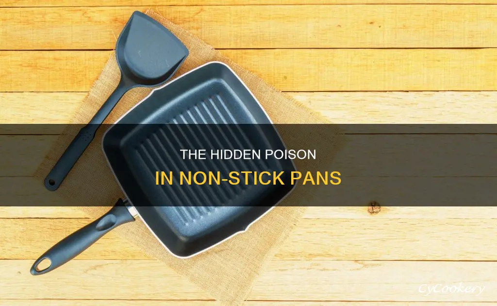 are we really being poisoned by non stick pans