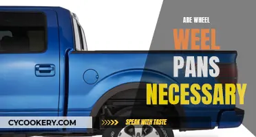 Wheel Well Pans: Necessary Protection or Unnecessary Addition?