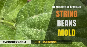 White Spots on Refrigerated String Beans: Mold or Something Else?