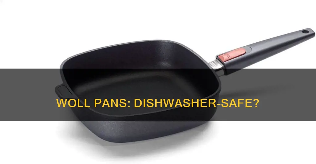 are woll pans dishwasher safe