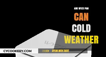 Wyze Cam's Weather Resistance: Cold Endurance Tested