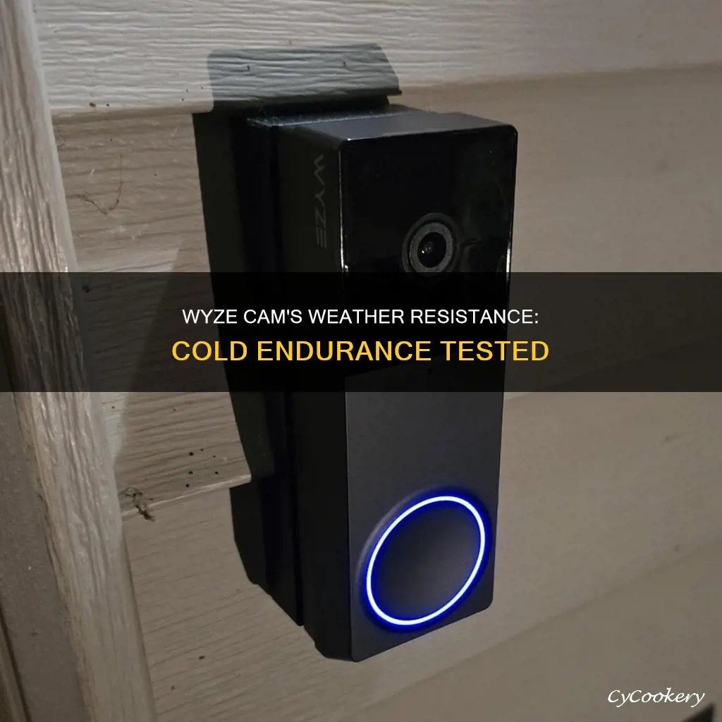 are wyze pan can cold weather