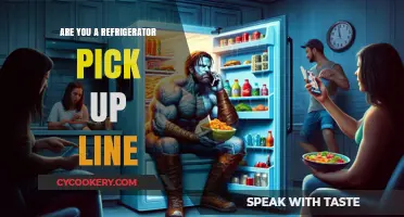 Chill Out: Mastering the Art of the Refrigerator Pick-Up Line