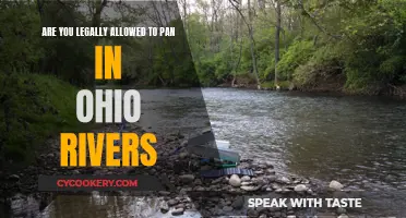 Panning in Ohio Rivers: What's the Legal Status?