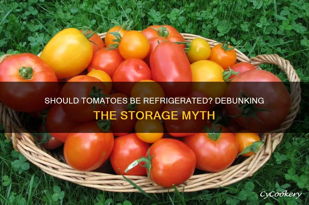 are you not supposed to refrigerate tomatoes