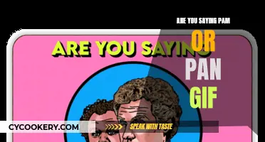 Pam or Pan: Understanding the Confusion in a GIF