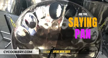 Saying Pan: Exploring the Nuances of This Phrase
