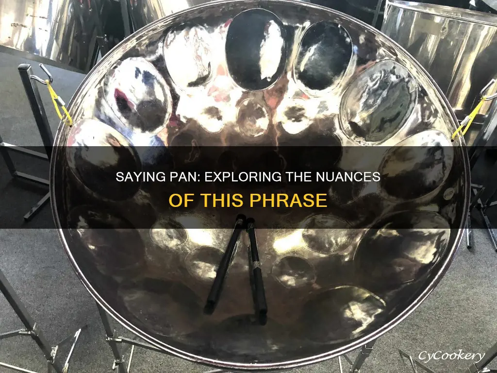 are you saying pan