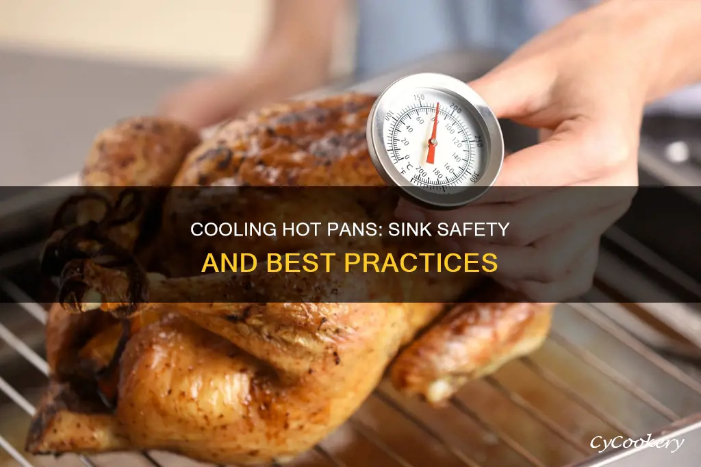 are you supposed t ocool a pan in the sink