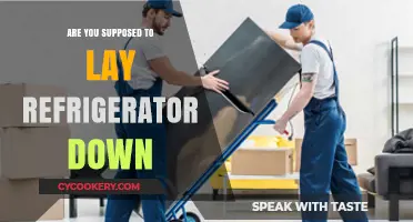 Should You Lay Your Refrigerator Down? Expert Tips and Advice