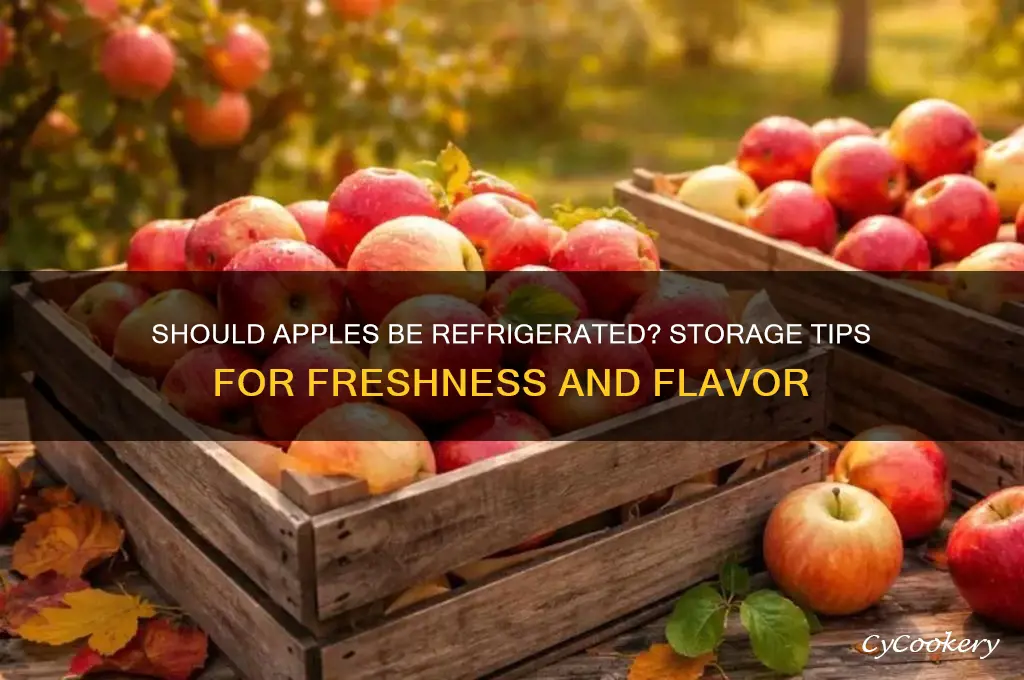 are you supposed to put apples in the refrigerator